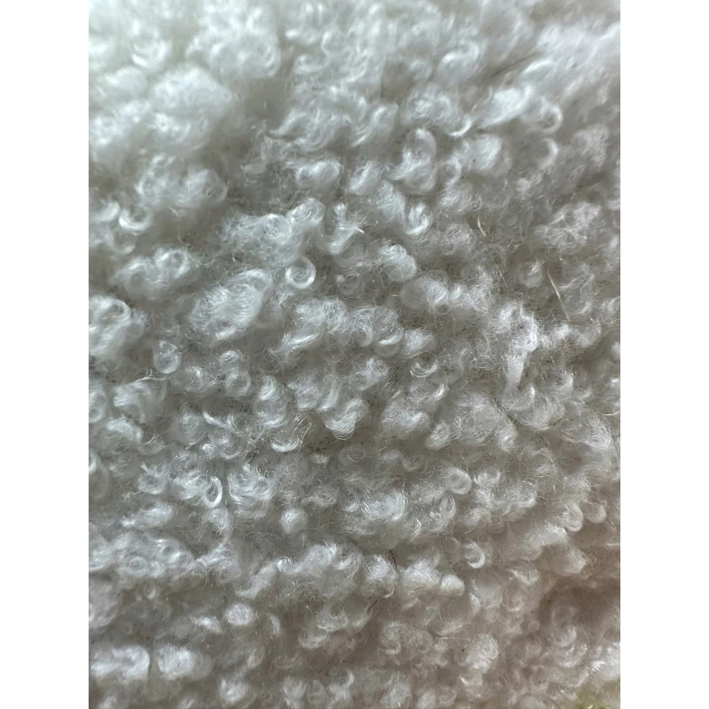 w4 Ổ giường nằm cây bonsai