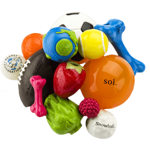 Đồ chơi thú cưng