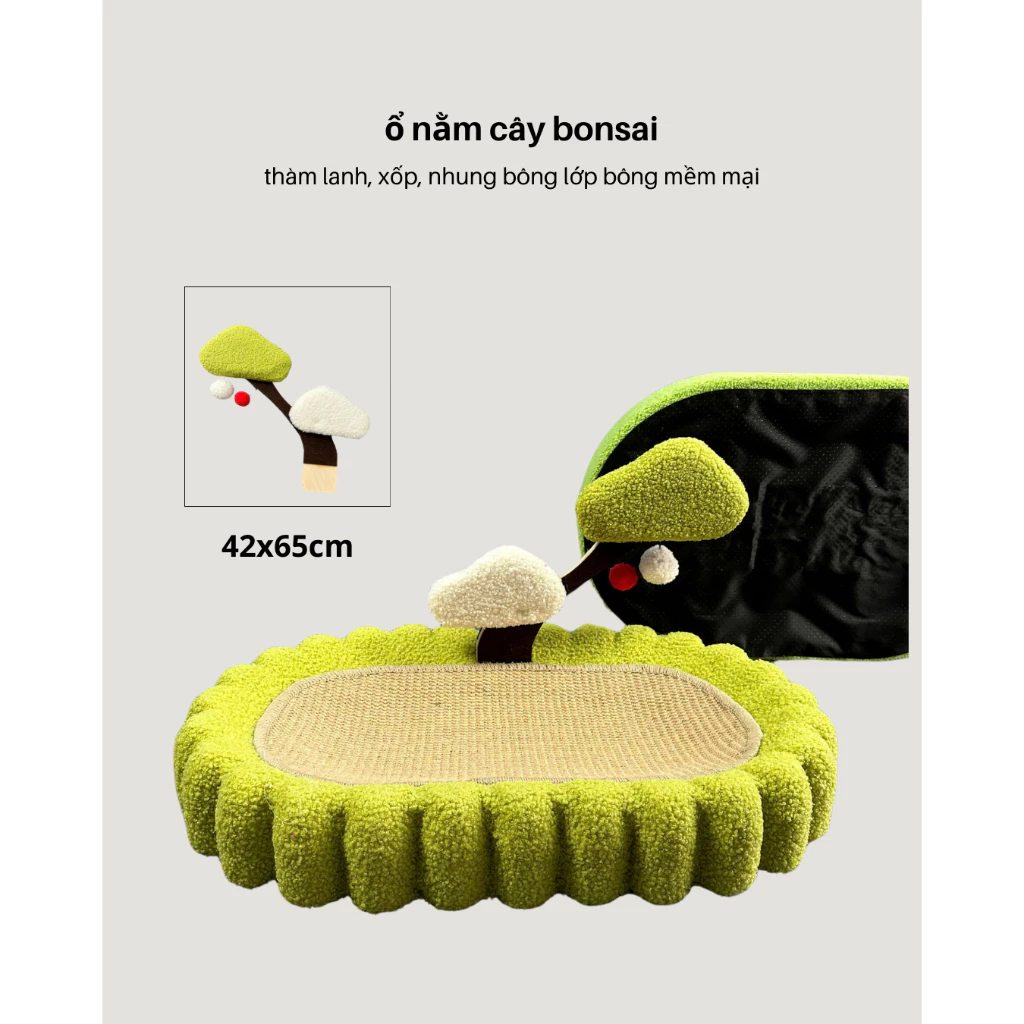 Ổ giường nằm cây bonsai